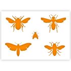 Insektenschablone in 3 Größen