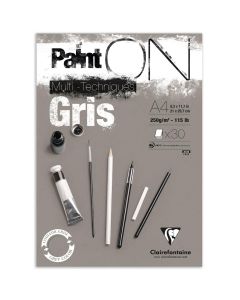 Clairefontaine Paint-ON A4 Block - Grau